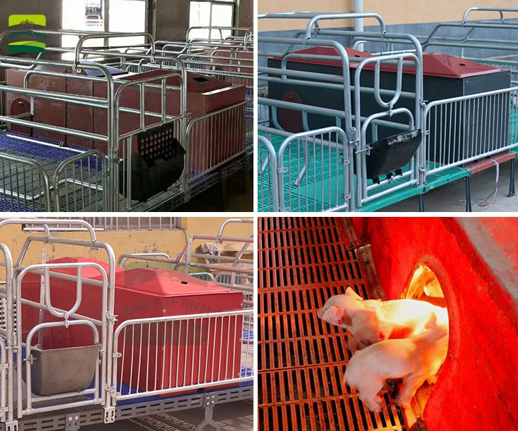 Farrowing heating box farrowing crate equipment Thickening plastic incubator for piglet