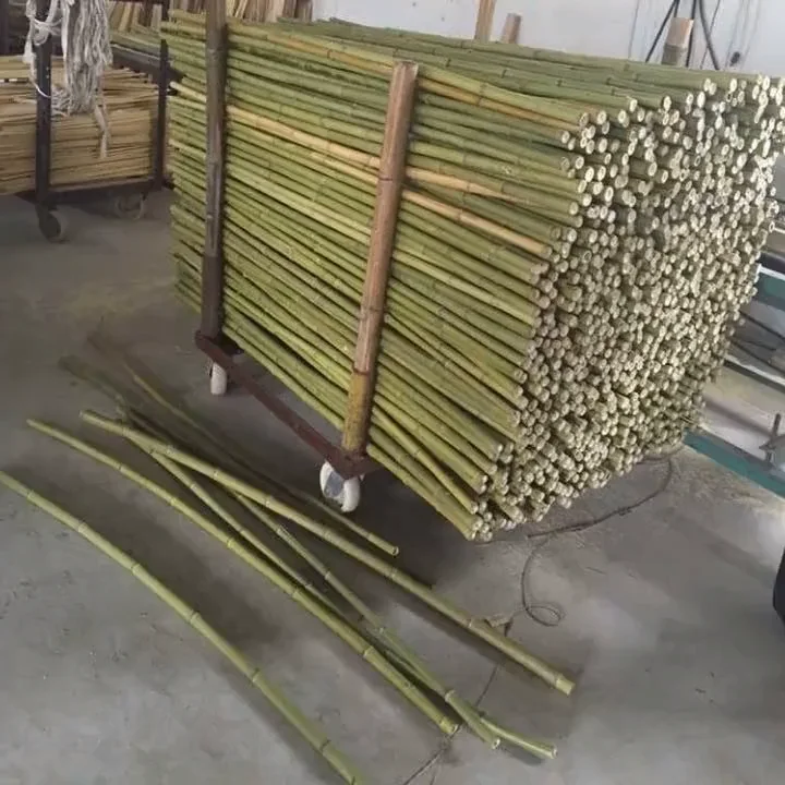 Natural Moso Bamboo Cane For Decoration And Construction Buy Bamboo
