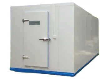 Customized Walk-in Cold Storage Cabinets - Fresh-Keeper Freezer