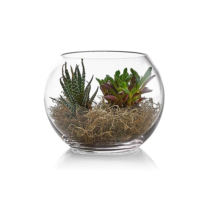 Wholesale Customized Glass Bowl Round Vase Inch Diameter Clear Glass