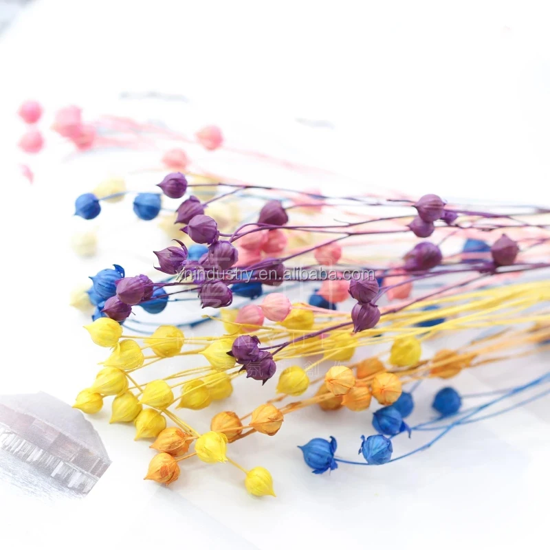 Natural Real Fresh Eternal Dried Flowers Jequirity Bean Jumblebeads