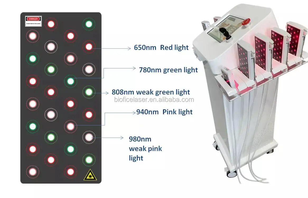 2022 5d Lipo Laser Fat Removal Machine 650 Nm 980nm Lipo Pads Body