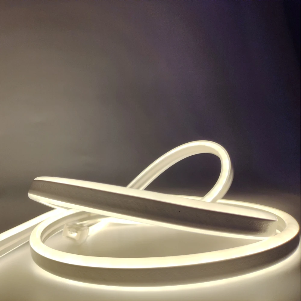 Neon Led Strips 220v Holiday Lighting Lamparas Flexible Flex Strip 100m