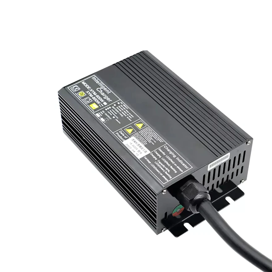 Caricabatterie LiFePO4 12V 20A Joiry - Ricarica Veloce Per Batterie Al Litio Ferro Fosfato, Con Protezioni E Ventola Integrata