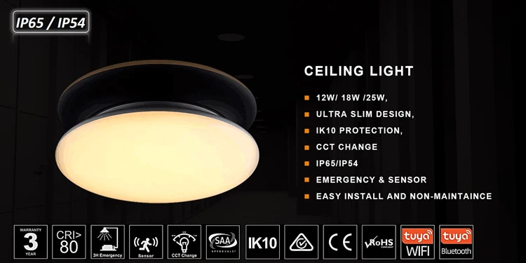 Single color factory price hotel IP65 ceiling light simple
