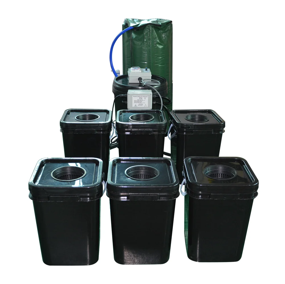dwc system