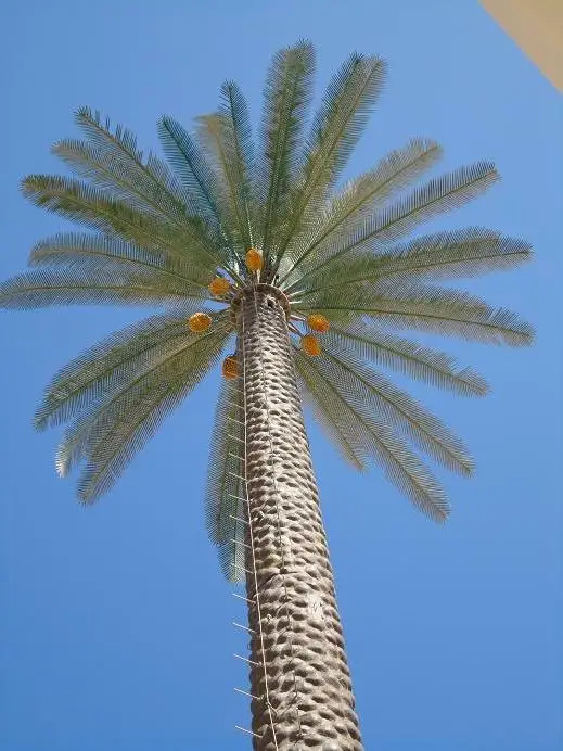 30 متر شجرة النخيل احتكار لل Etisalat الامارات برج الاتصالات