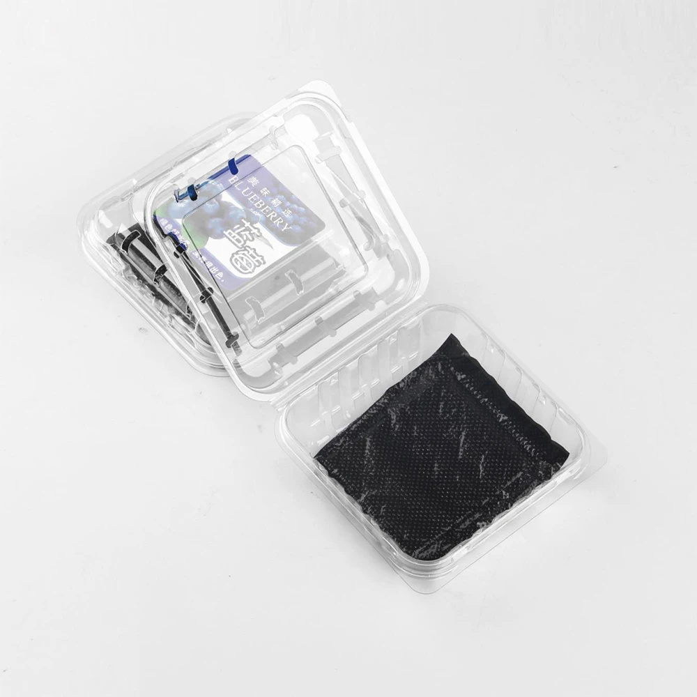 Disposable And Food Grade Pe Film Absorbent Pad With Sap For Meat