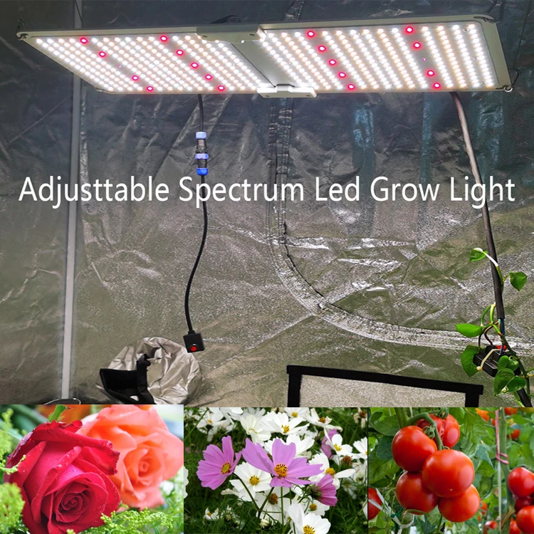 220 grow light