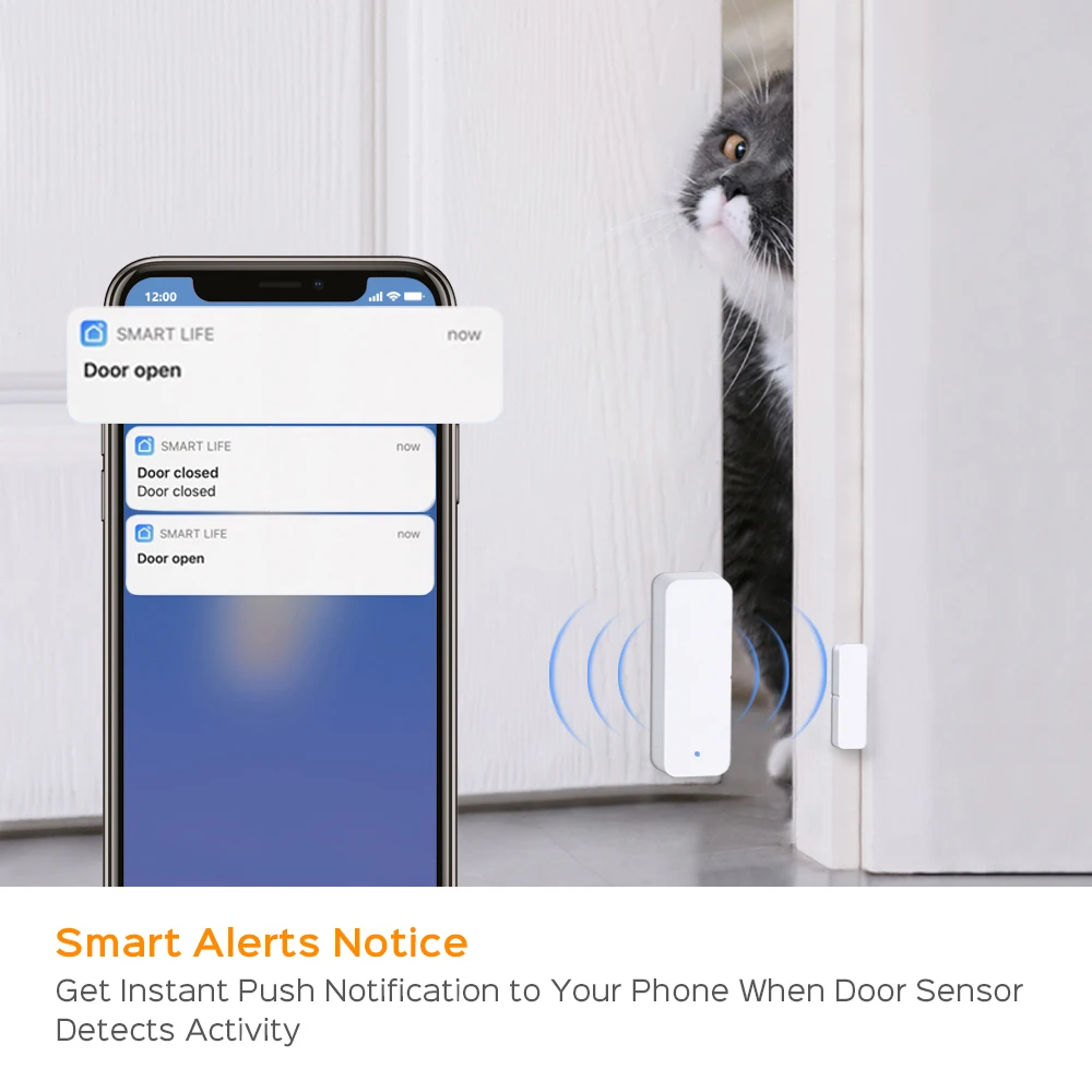 TUYA WIFI DOOR SENSOR (3).jpg
