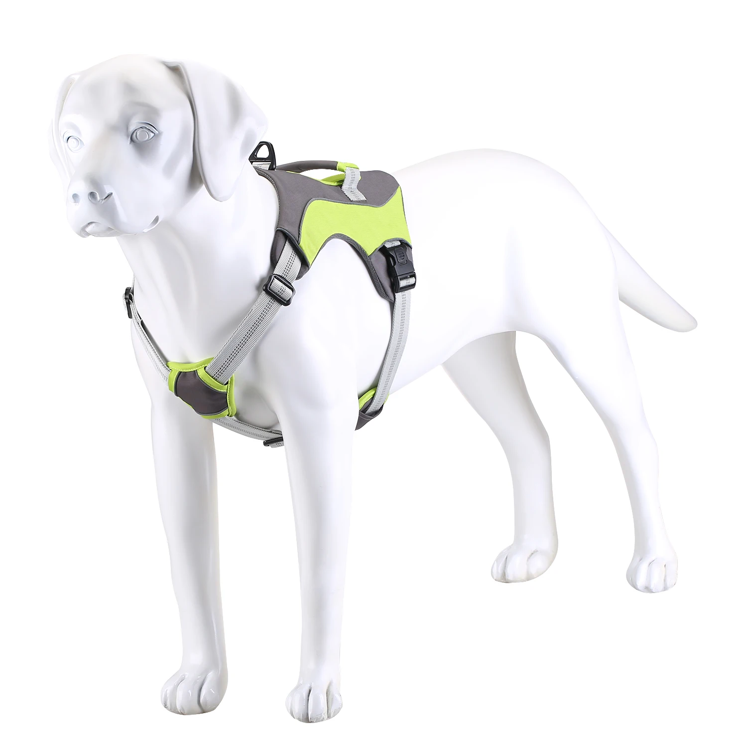 durable harness for dogs
