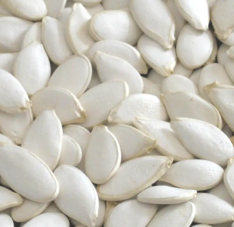snow white pumpkin seeds