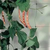 pp Green plastic support plant trellis netting for climbing plants