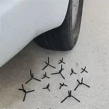  (1).jpg