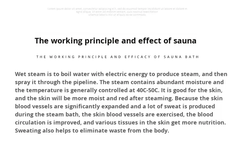 Steam Generator, HARVIA, Stainless, Steel - detail 10