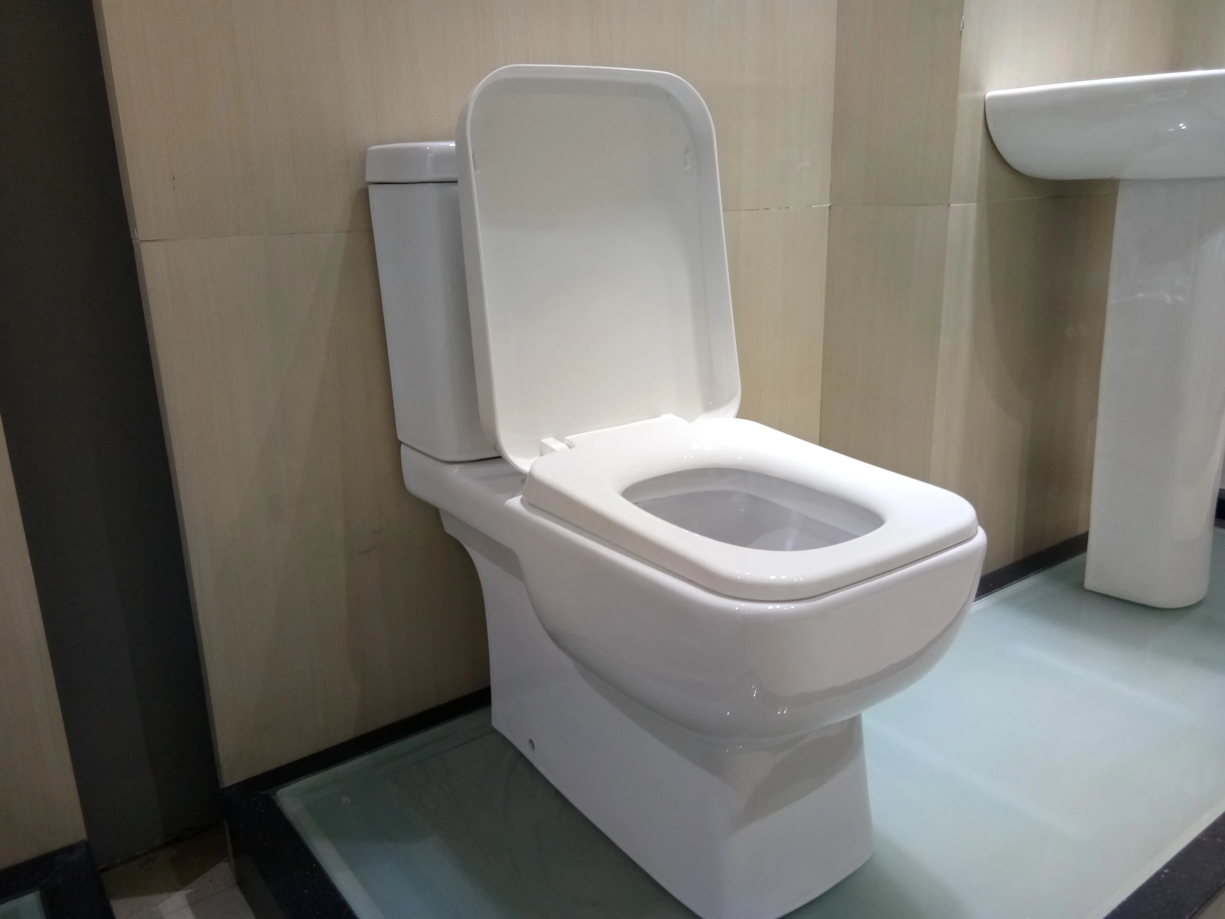 卫生洁具陶瓷厕所型号 nr221