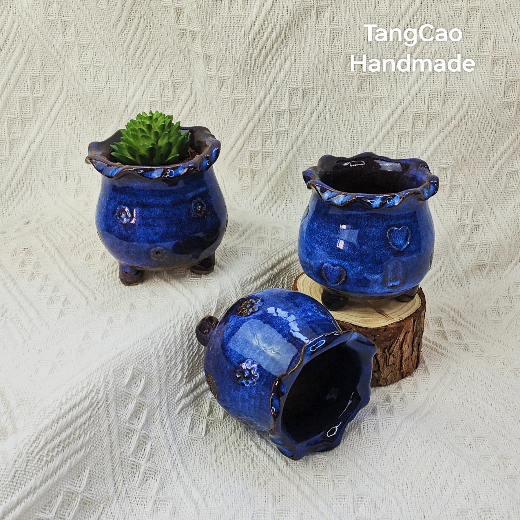 Tangcao Handmade Creative Cute Desktop Plant Pots Indoor Funny Small