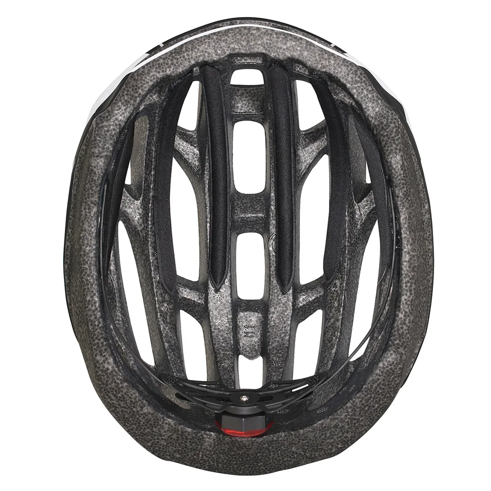 CAIRBULL-0312.jpg