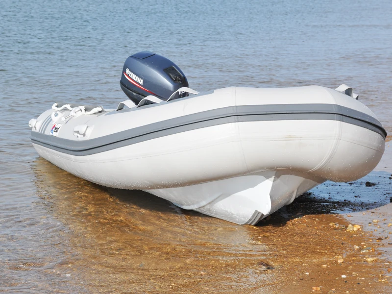 Freesun Brand 3m Long Aluminium Hull Rigid Inflatable Boat Rib Boat