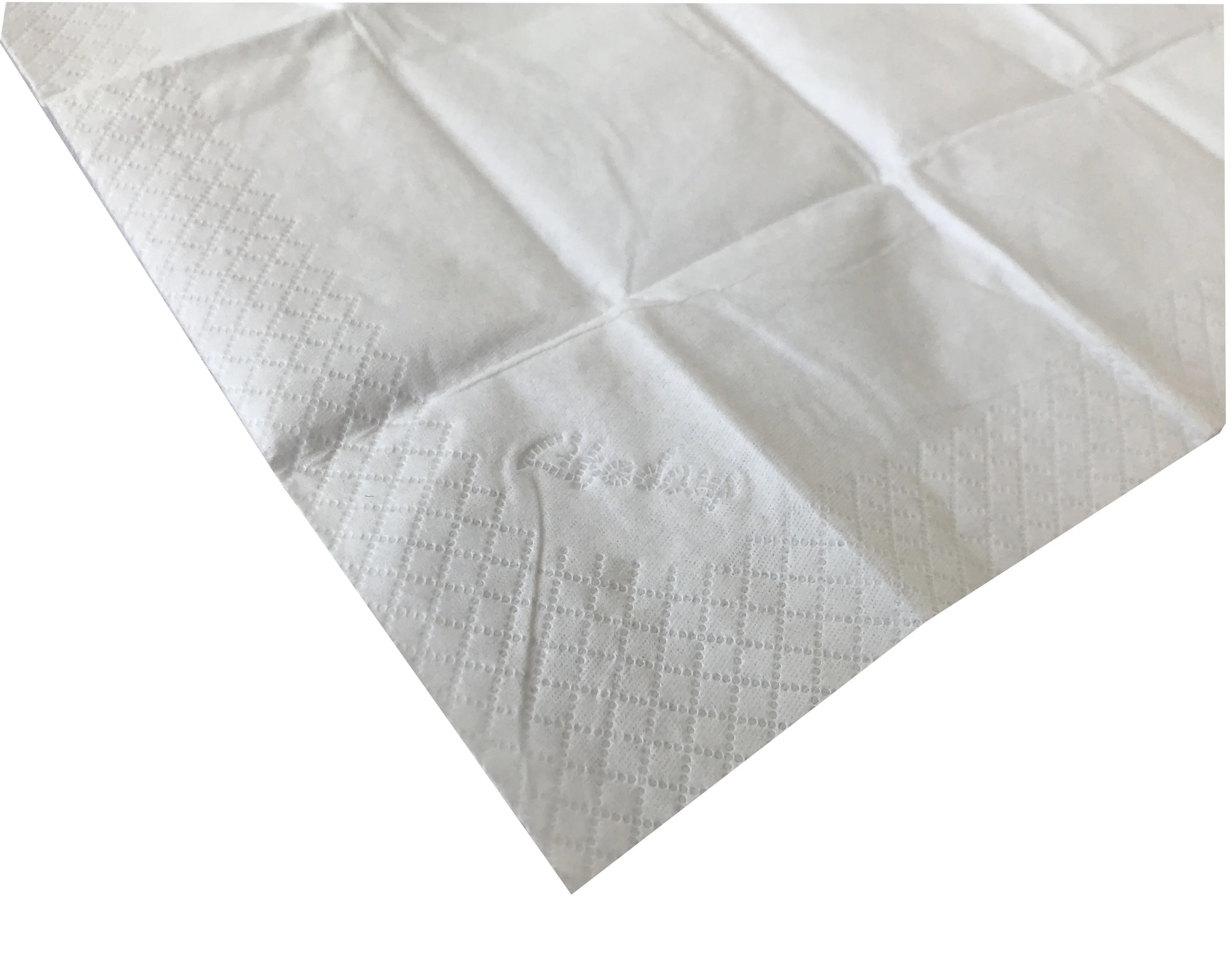 2020 Soft And Clean Mini Pocket & Standard 3 Ply 10 Sheets Pocket ...