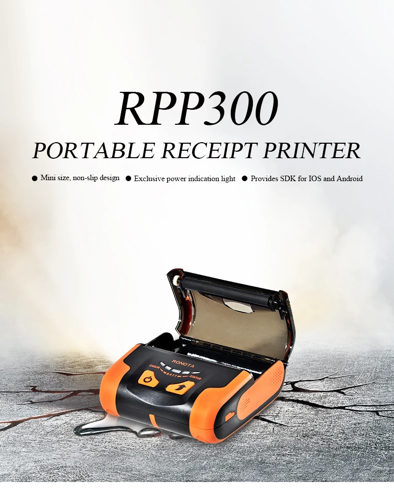 rpp 300