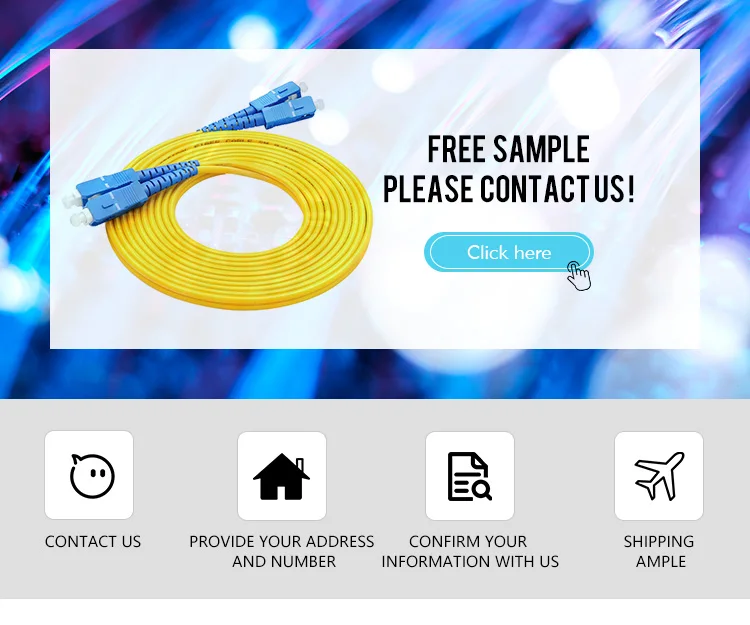 Bundle Sc Apc Optical Cable Fiber Optic 12 Bunchy Pigtail With Sc/Upc