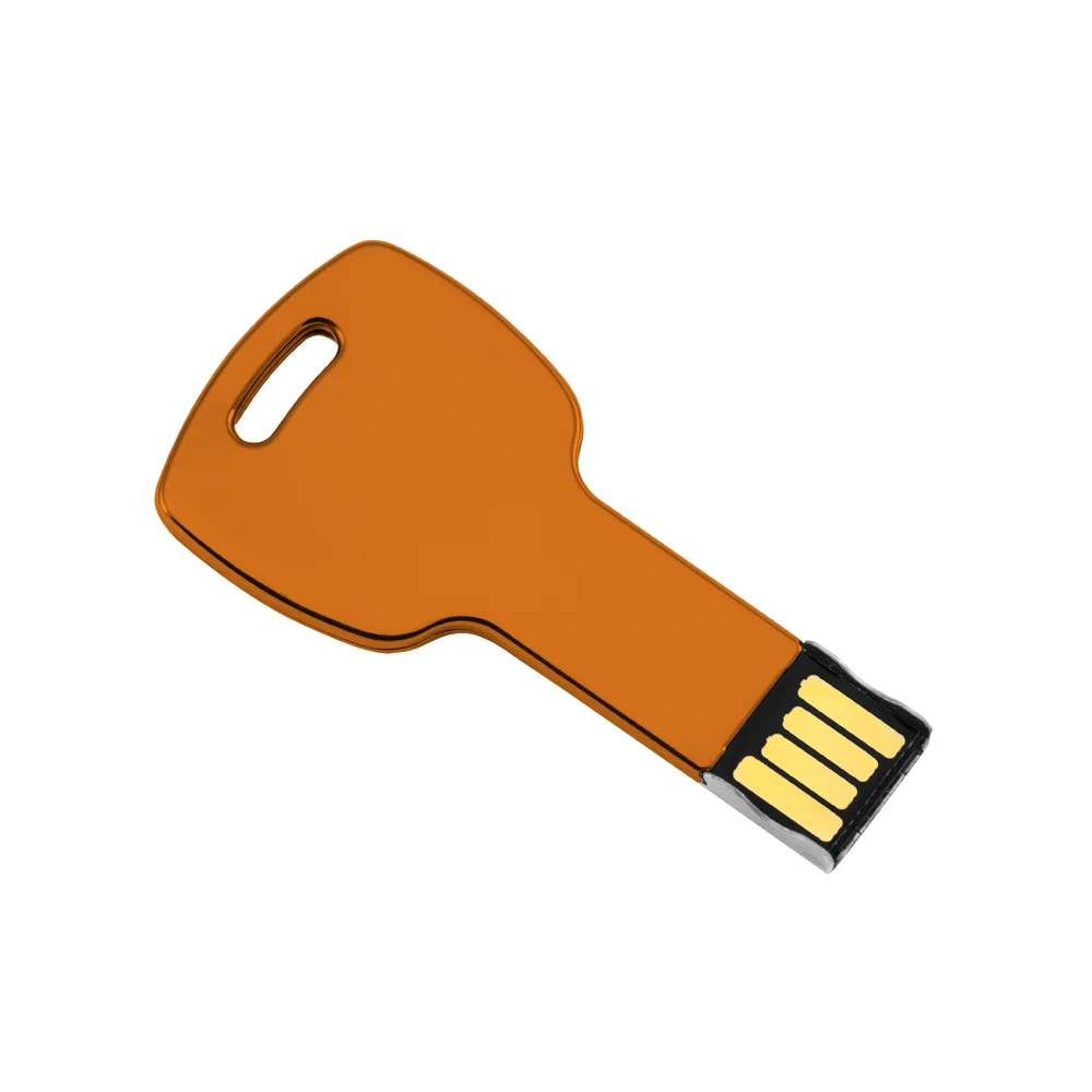 Custom logo Metal Key Shape USB Flash Drives Pen Drive 64GB 32GB 16GB 8GB USB stick 128GB - ANKUX.COM