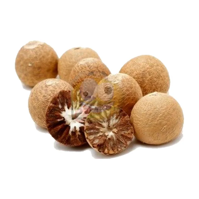 
High Quality Whole / Half Betel Nut for Wholesale 
