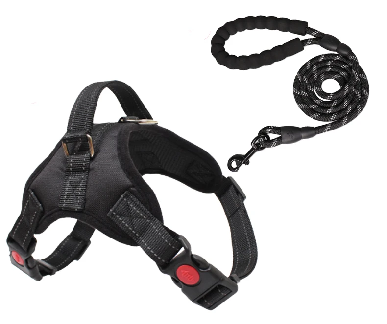 Trainpro Nopull Dog Collar Harness And Leash Training Set For Easy