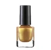 Supplier Wholesale nails polishes 5 Color Soak Off UV gel gel nail polish private label With nail art brushes Low MOQ Low price
