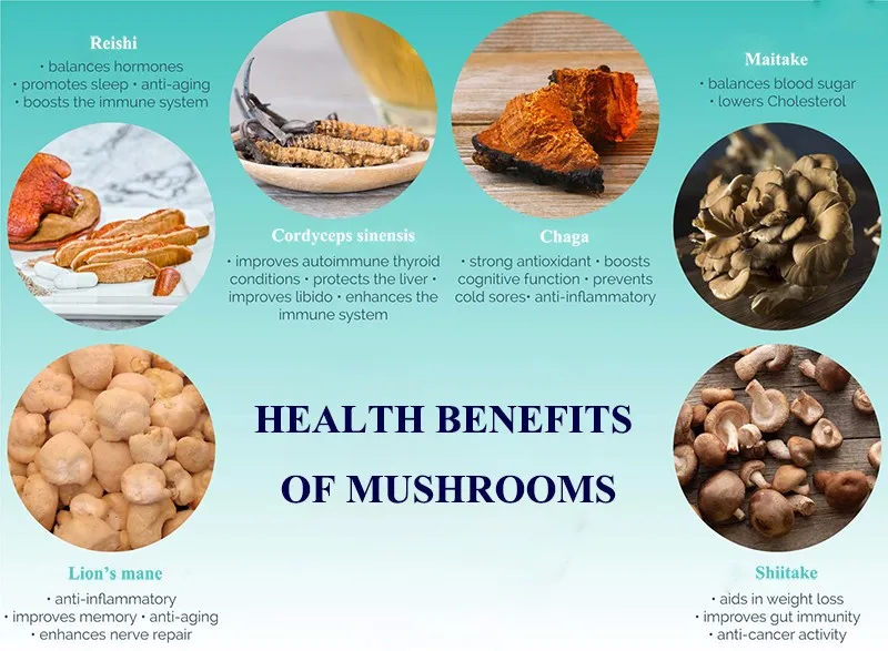 mushrooms benefit