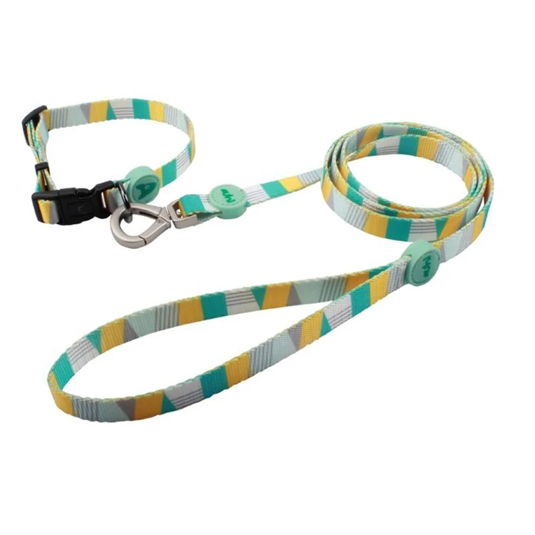 Dog collar leashes-20