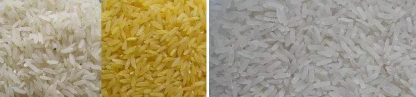 Artificial rice making extruder