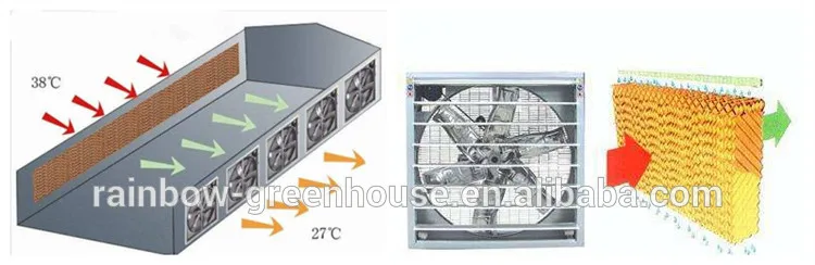 greenhouse cooling system.jpg