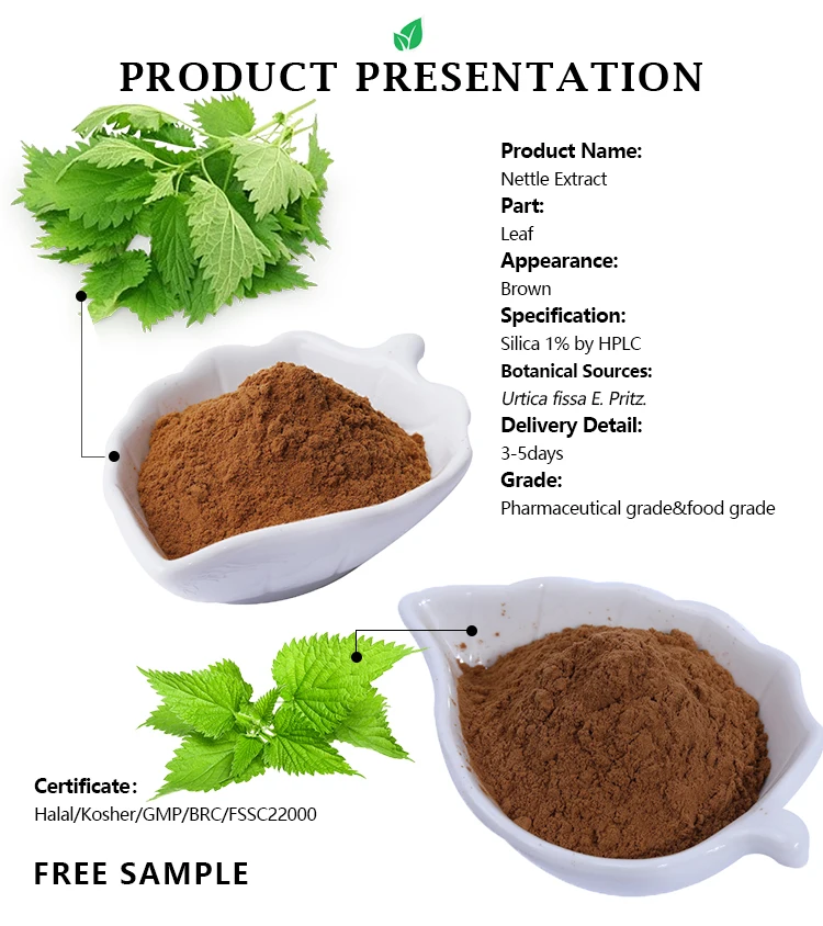 Nettle Root Extract Nettle Seed Root Powder Extract