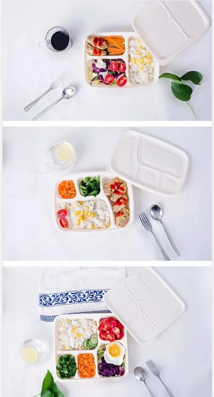 Boîte à lunch en boîte à lunch isotherme Bento Salad Packaging Transparent Food Rou