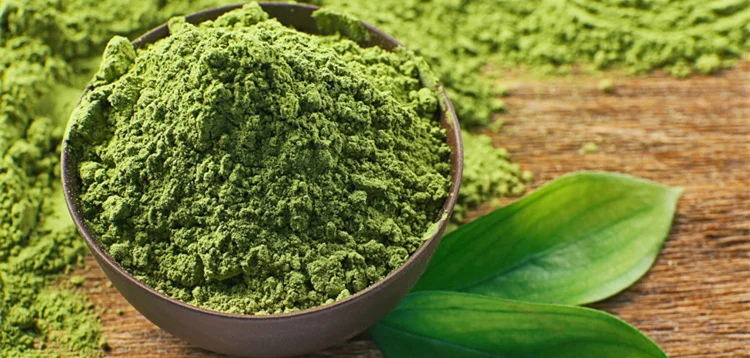 Natural Green Tea Matcha, Matcha Powder - 4uTea | 4uTea.com