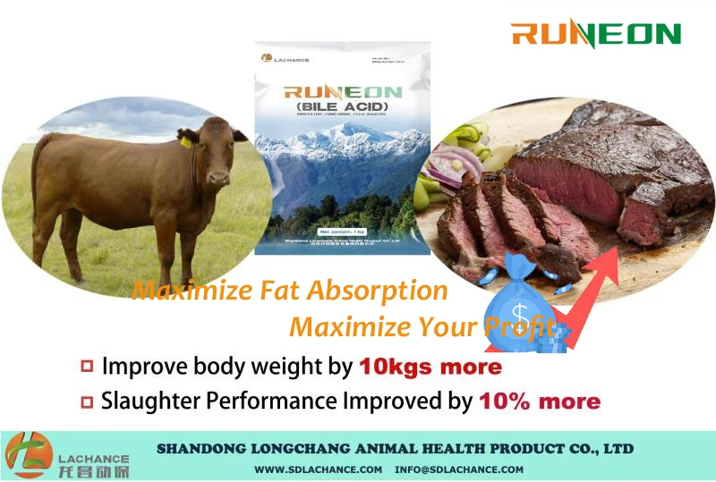 Feed Supplement For Cattle To Improving Weight Gain And Growth