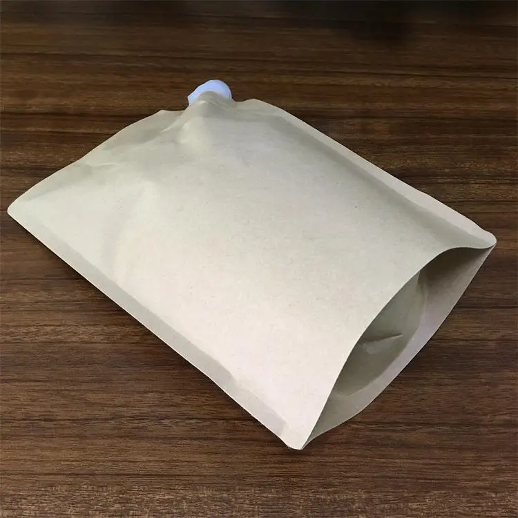 spout bags 1 (4).jpg