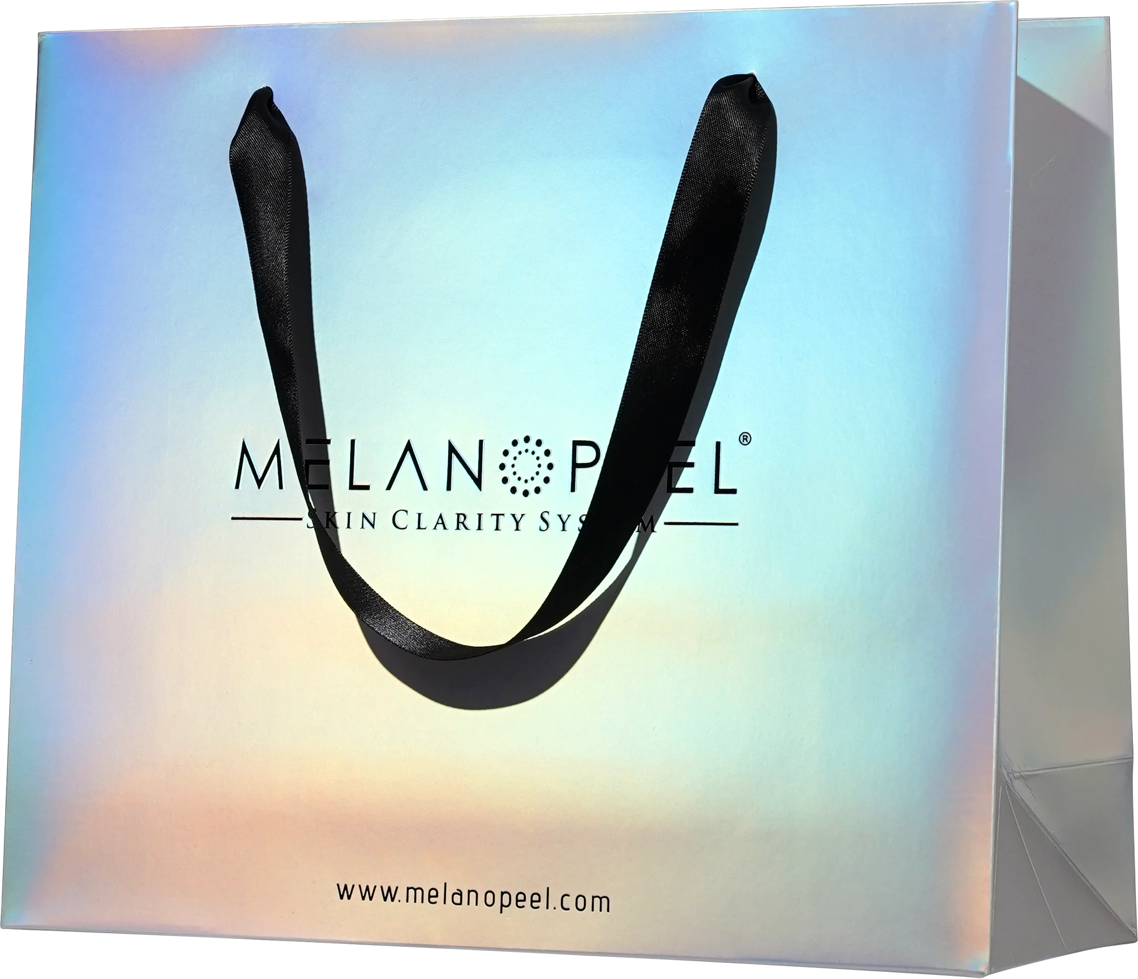 Paper Bag