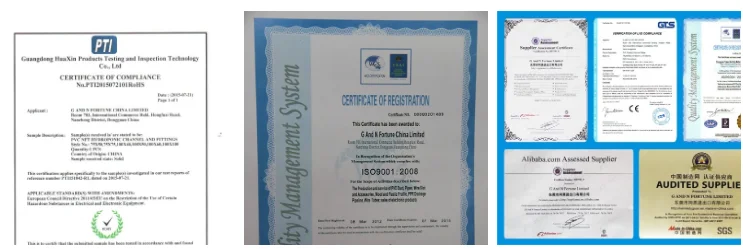 paste-pic-dp_uuid_bhgy0