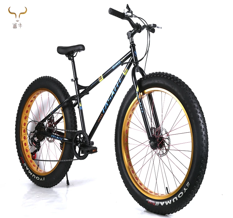 fat bike 28