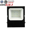 Factory Price Outdoor SMD Ip66 Aluminum outdoor led flood light 100 w For Garden