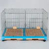 Heavy Duty Double Door Fashion Modern 36" Pet Breed Cage With Partition Pet Store Indoor Iron Metal Cat Dog Display Crate Kennel