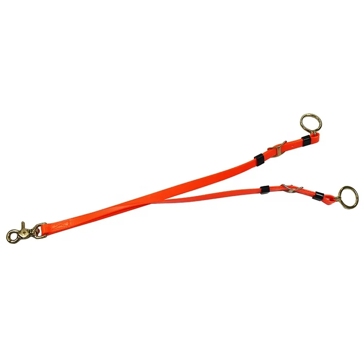 Running Martingale 2.jpg