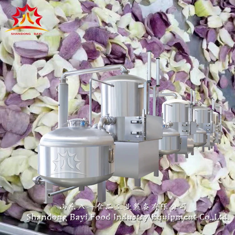 industrial nuts fruit kiwi apricot strawberry date vacuum fryer