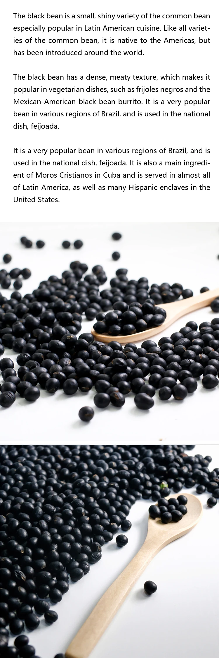 High Quality Seeds Bulk Small Black Round Bean wholesale