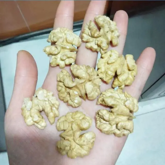 
Chinese 185 type in shell wholesale price walnuts kernels 
