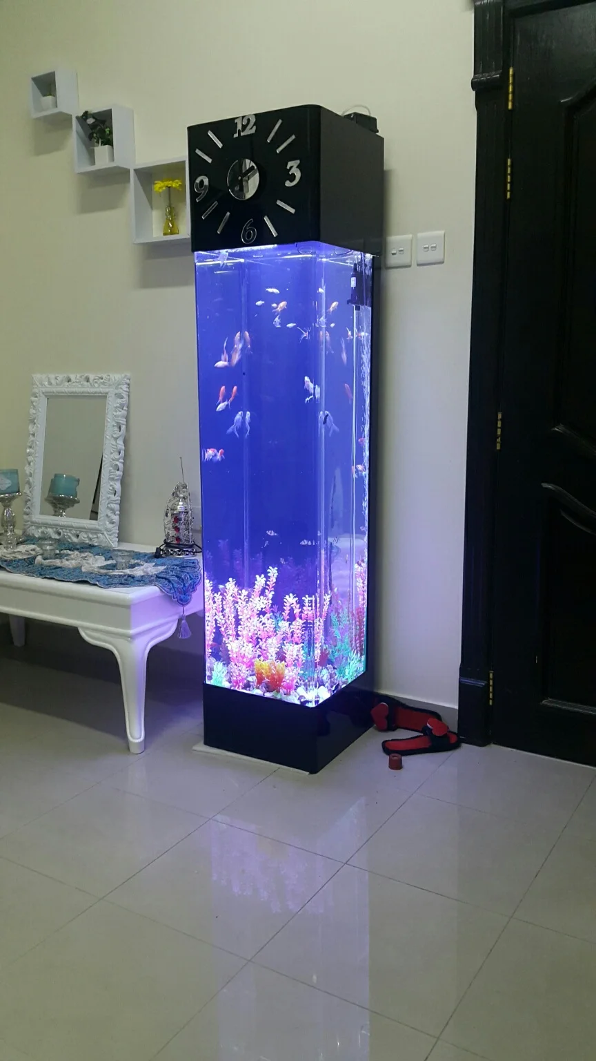 亚克力方形水族馆鱼缸家庭使用