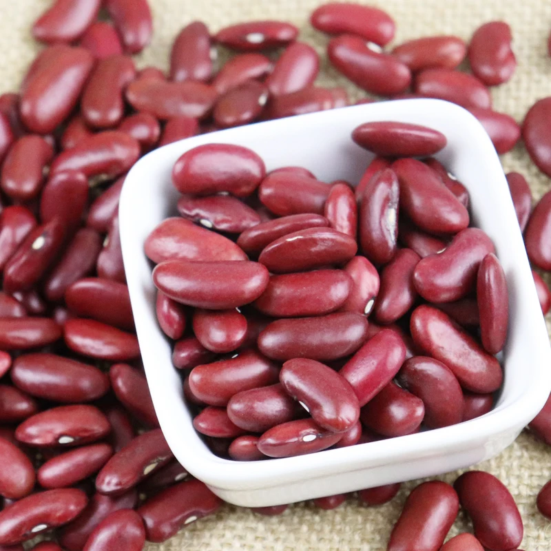 用于罐头食品的深红色芸豆